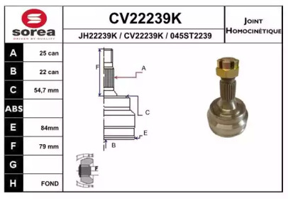 Шарнирный комплект (EAI: CV22239K)