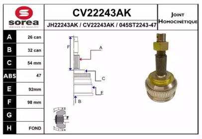 Шарнирный комплект (EAI: CV22243AK)