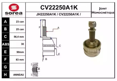 Шарнирный комплект (EAI: CV22250A1K)