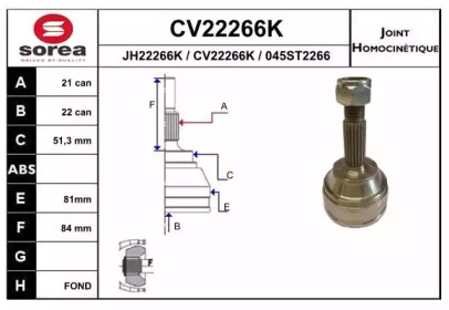 Шарнирный комплект (EAI: CV22266K)