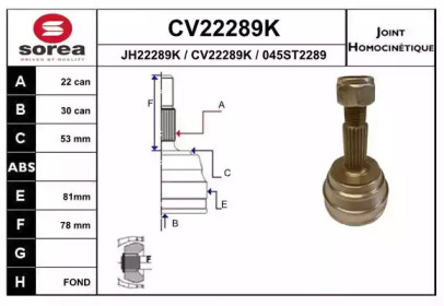 Шарнирный комплект (EAI: CV22289K)