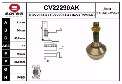 Шарнирный комплект (EAI: CV22290AK)