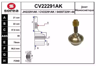 Шарнирный комплект (EAI: CV22291AK)