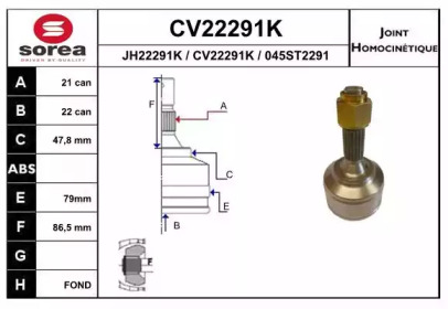 Шарнирный комплект (EAI: CV22291K)