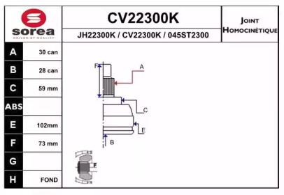 Шарнирный комплект (EAI: CV22300K)