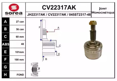 Шарнирный комплект (EAI: CV22317AK)