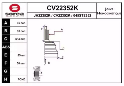 Шарнирный комплект (EAI: CV22352K)