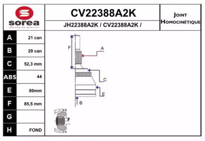 Шарнирный комплект (EAI: CV22388A2K)