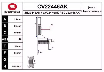 Шарнирный комплект (EAI: CV22446AK)