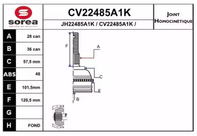 Шарнирный комплект (EAI: CV22485A1K)