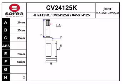 Шарнирный комплект (EAI: CV24125K)