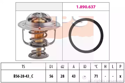 Термостат (EPS: 1.880.650)