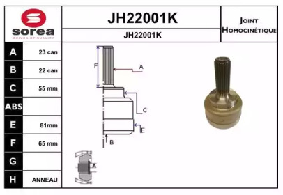 Шарнирный комплект (SNRA: JH22001K)