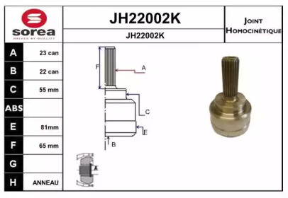 Шарнирный комплект (SNRA: JH22002K)