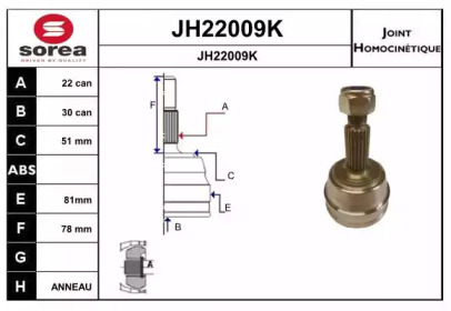 Шарнирный комплект (SNRA: JH22009K)