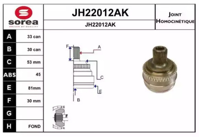 Шарнирный комплект (SNRA: JH22012AK)