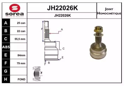 Шарнирный комплект (SNRA: JH22026K)