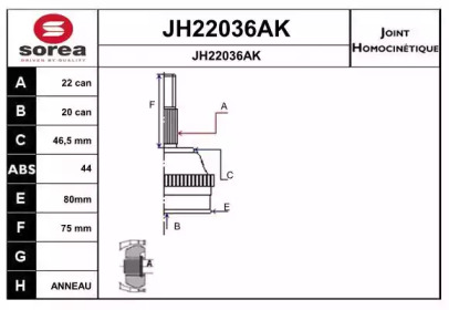 Шарнирный комплект (SNRA: JH22036AK)