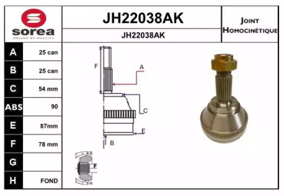 Шарнирный комплект (SNRA: JH22038AK)