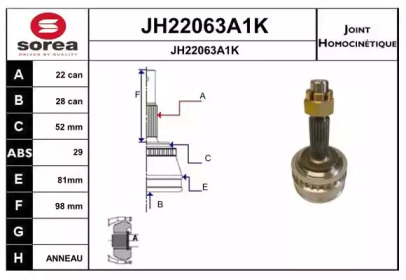 Шарнирный комплект (SNRA: JH22063A1K)