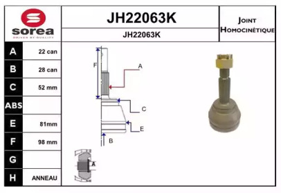 Шарнирный комплект (SNRA: JH22063K)