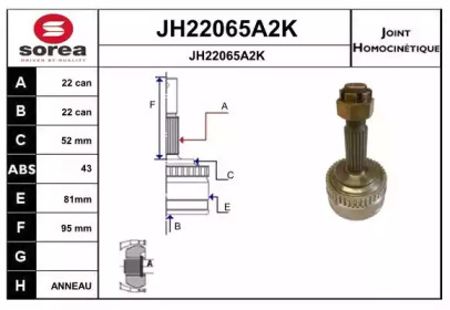 Шарнирный комплект (SNRA: JH22065A2K)