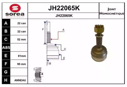 Шарнирный комплект (SNRA: JH22065K)