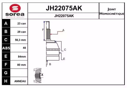 Шарнирный комплект (SNRA: JH22075AK)