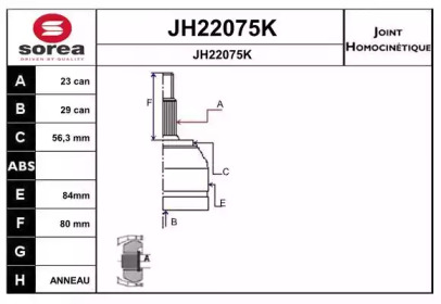 Шарнирный комплект (SNRA: JH22075K)