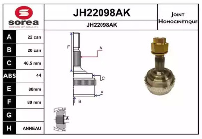 Шарнирный комплект (SNRA: JH22098AK)