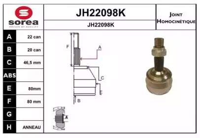 Шарнирный комплект (SNRA: JH22098K)