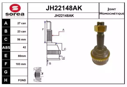 Шарнирный комплект (SNRA: JH22148AK)