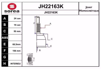 Шарнирный комплект (SNRA: JH22163K)