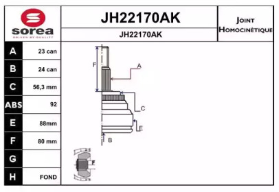 Шарнирный комплект (SNRA: JH22170AK)