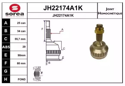 Шарнирный комплект (SNRA: JH22174A1K)