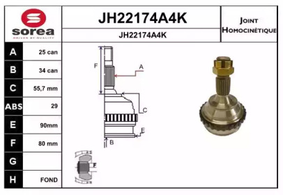 Шарнирный комплект (SNRA: JH22174A4K)