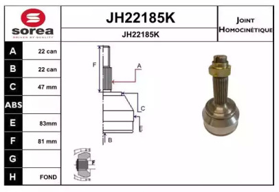 Шарнирный комплект (SNRA: JH22185K)