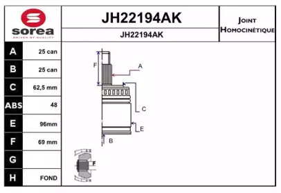 Шарнирный комплект (SNRA: JH22194AK)