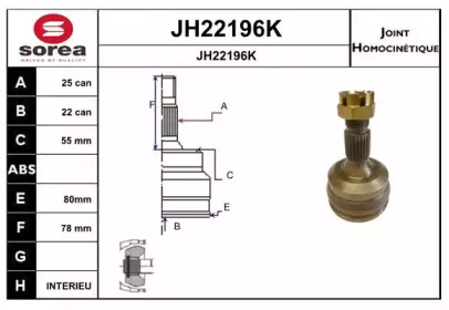 Шарнирный комплект (SNRA: JH22196K)