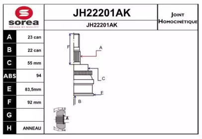 Шарнирный комплект (SNRA: JH22201AK)