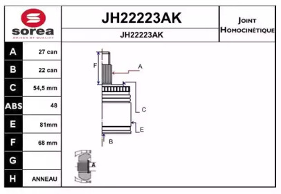 Шарнирный комплект (SNRA: JH22223AK)