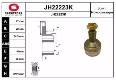 Шарнирный комплект (SNRA: JH22223K)