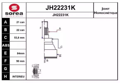 Шарнирный комплект (SNRA: JH22231K)