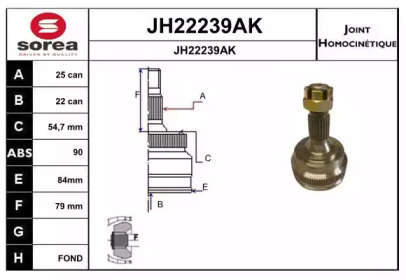 Шарнирный комплект (SNRA: JH22239AK)