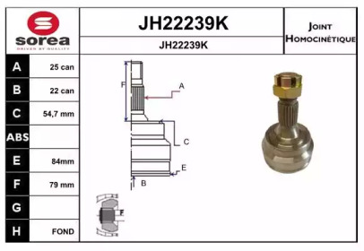 Шарнирный комплект (SNRA: JH22239K)