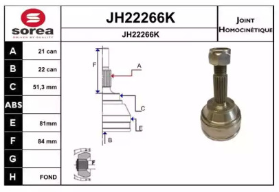 Шарнирный комплект (SNRA: JH22266K)