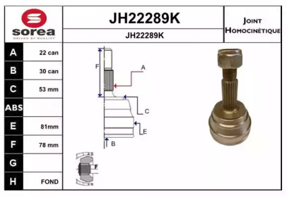 Шарнирный комплект (SNRA: JH22289K)