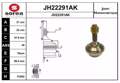 Шарнирный комплект (SNRA: JH22291AK)