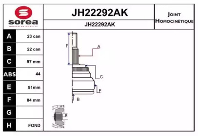 Шарнирный комплект (SNRA: JH22292AK)