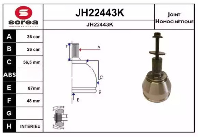 Шарнирный комплект (SNRA: JH22443K)